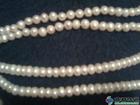 Flat piece of pearl necklace